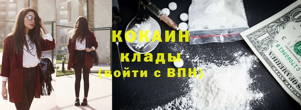 прущие грибы Армянск
